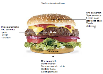 Essay Writing: Writing: How is an essay structured?